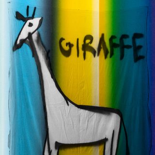 Line drawing of a giraffe overlain onto rainbow-coloured background.
