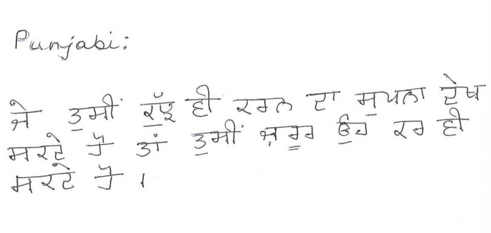 Punjabi translation